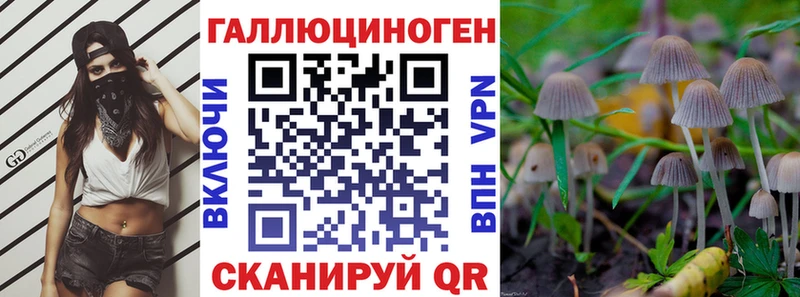 купить Нижнеудинск Галлюциногенные грибы мухоморы
